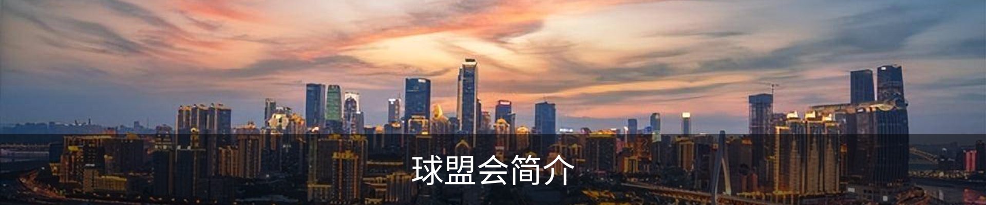 球盟会简介